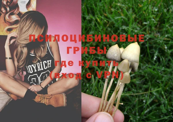 дурь Абдулино