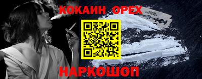 a pvp Новодвинск
