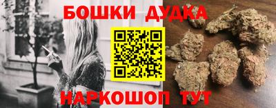 гидропоника Новозыбков