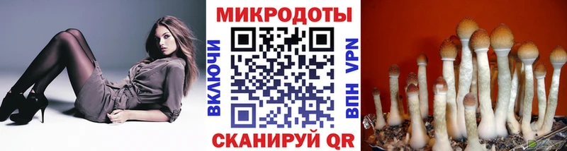 наркошоп Алапаевск Псилоцибиновые грибы Magic Shrooms