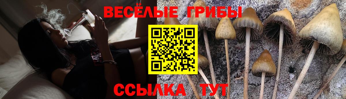 Псилоцибиновые грибы GOLDEN TEACHER Алапаевск