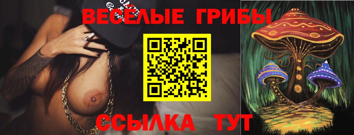 Галлюциногенные грибы Magic Shrooms  Галлюциногенные грибы Psilocybine cubensis  Алапаевск  Вход с VPN 